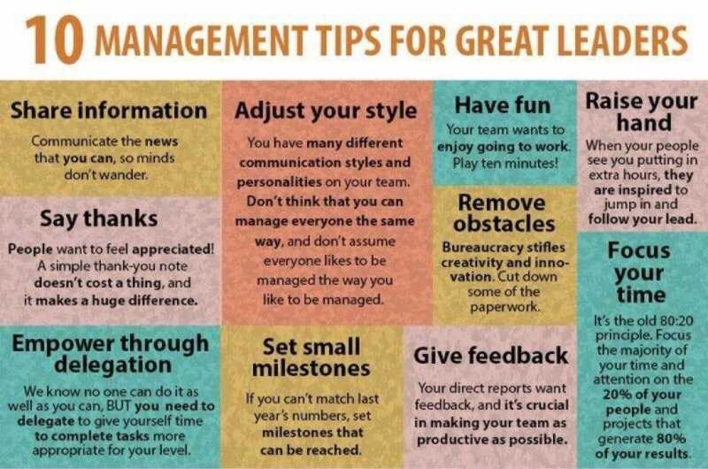 management tips