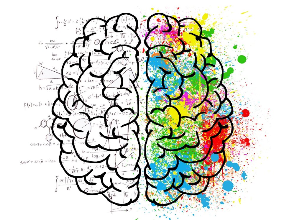 Healthy Mind Platter